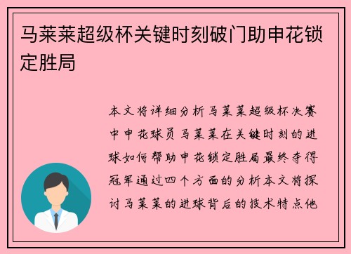 马莱莱超级杯关键时刻破门助申花锁定胜局